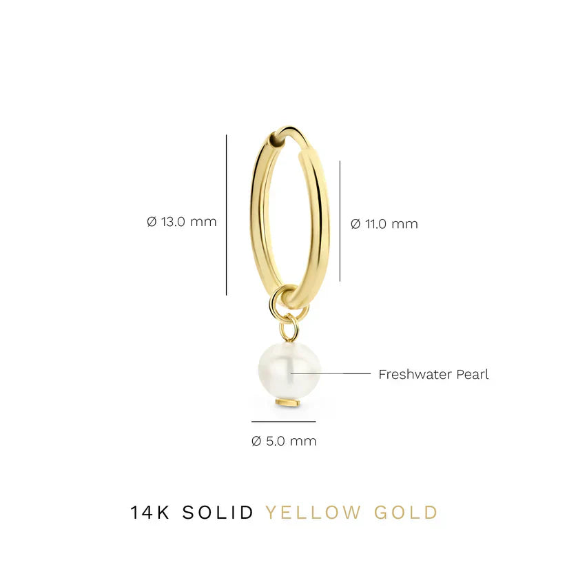 Delia Crest Orecchini | Oro