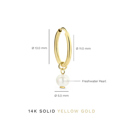 Delia Crest Orecchini | Oro
