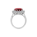Scarlet Crown Rubino Anello | Bianco Oro